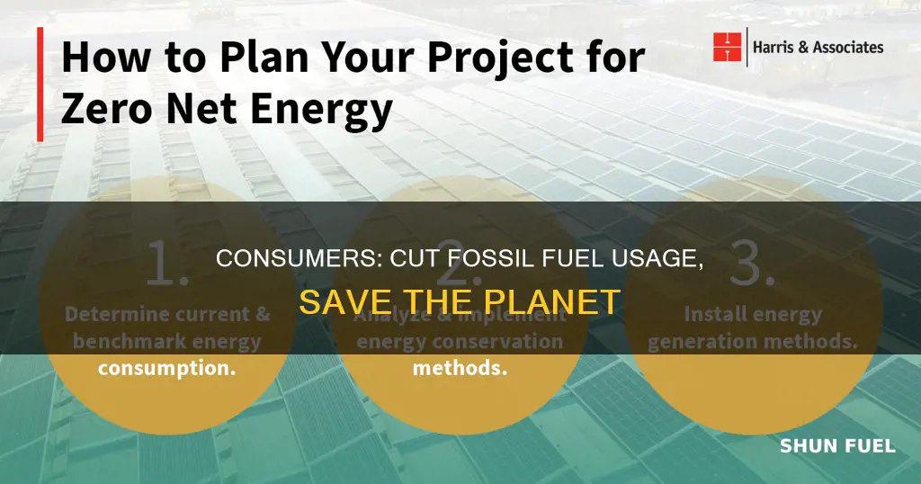 how can consumers use less fossil fuels