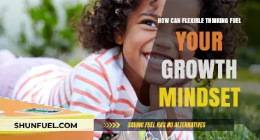 Flexible Thinking: Unlocking Growth Mindset Potential for Personal Development
