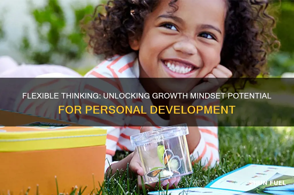 how can flexible thinking fuel your growth mindset