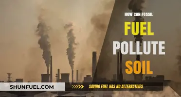 Fossil Fuel's Soil Pollution: Understanding the Toxic Threat
