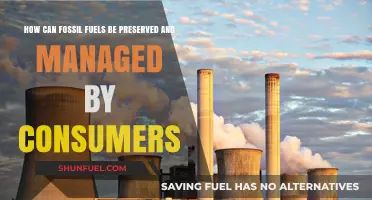 Preserving Fossil Fuels: Consumer Actions for a Sustainable Future