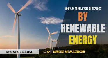 Transitioning to Renewable Energy: Replacing Fossil Fuels