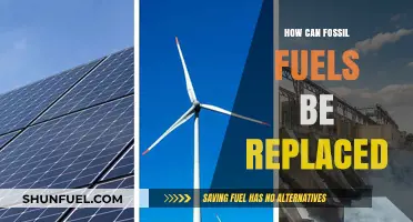 Transitioning to a Renewable Future: Fossil Fuel Alternatives Explored