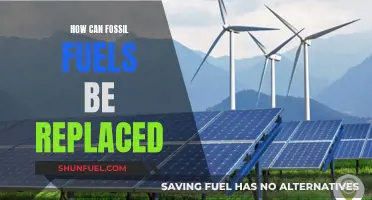 Transitioning Away from Fossil Fuels: Exploring Viable Alternatives