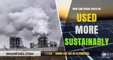 Sustainable Fossil Fuel Use: Strategies for a Greener Energy Transition