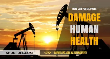 Fossil Fuels: Damaging Our Health, Hurting Our Planet