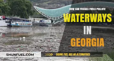 Fossil Fuels' Impact: Georgia's Waterways at Risk of Pollution