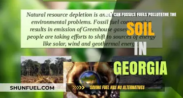 Fossil Fuel Pollution: Georgia's Soils at Risk
