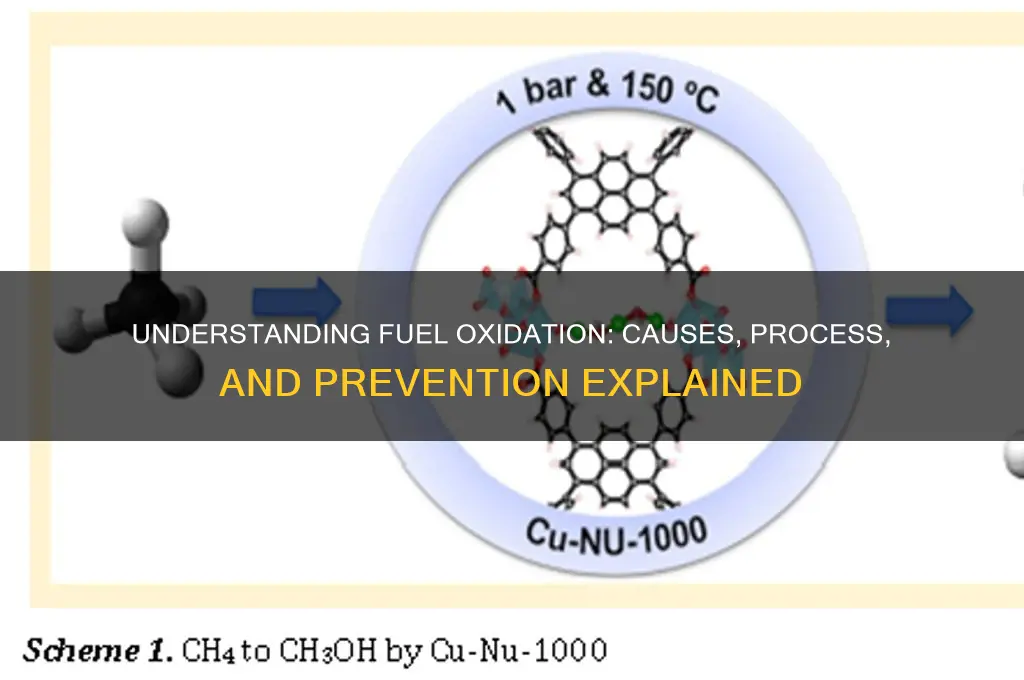 how can fuel become oxidized