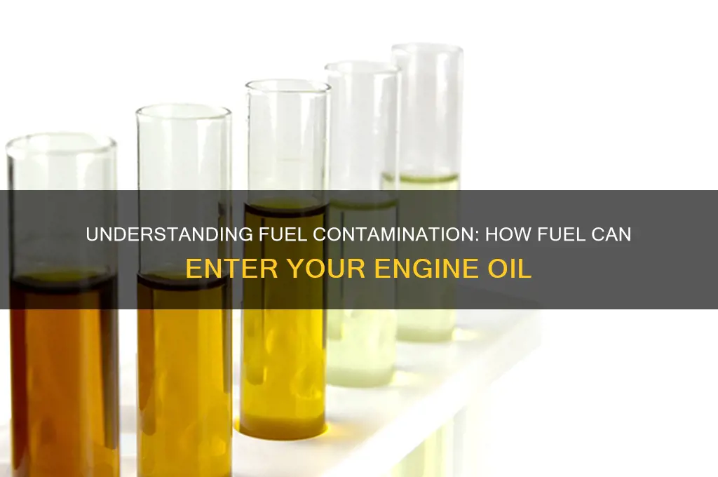 how can fuel get into oil