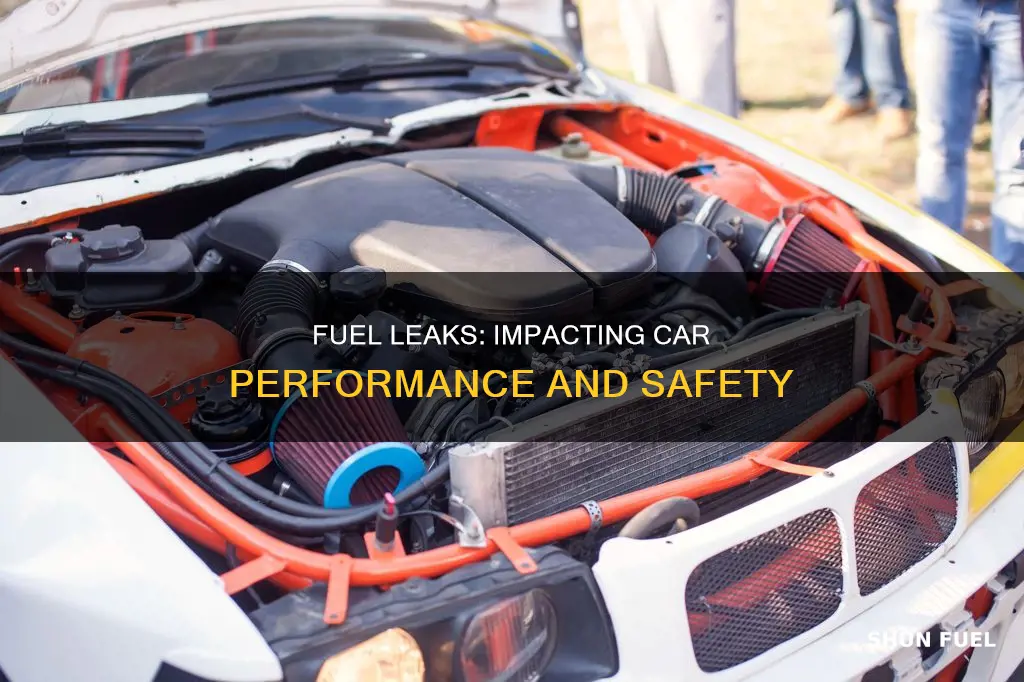 how can fuel leak affect the preformance of the car
