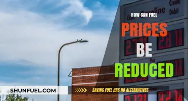 Strategies to Lower Fuel Prices: Practical Solutions for Consumers and Governments