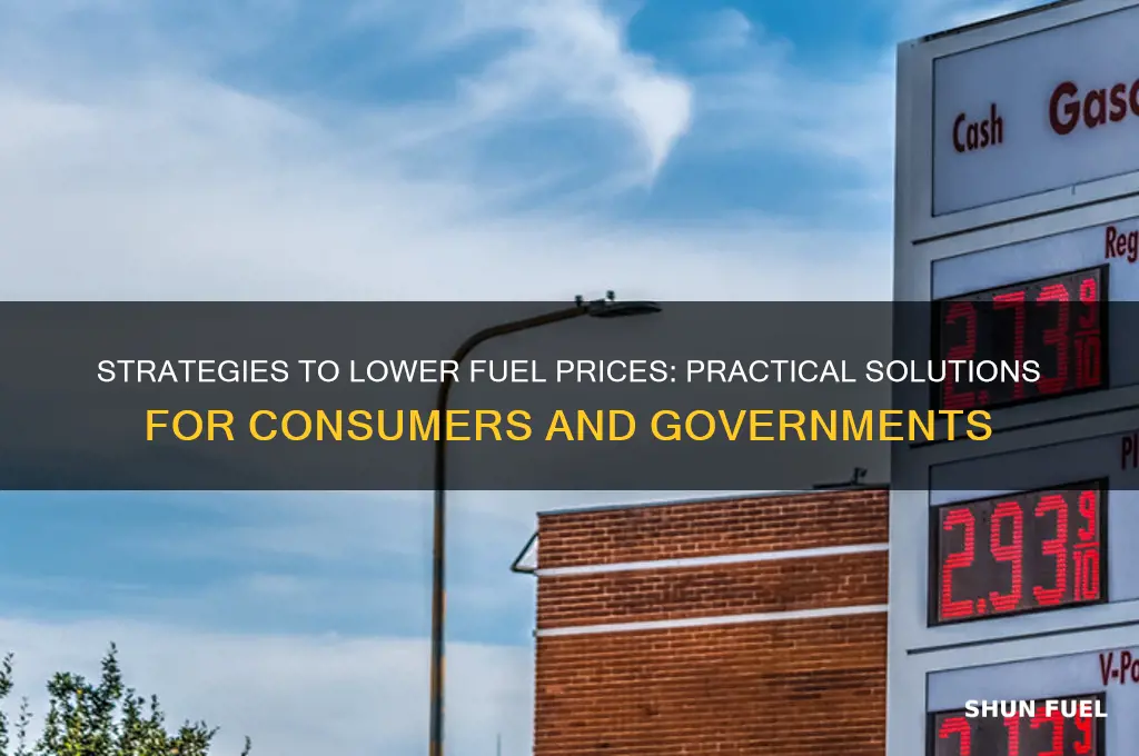 how can fuel prices be reduced