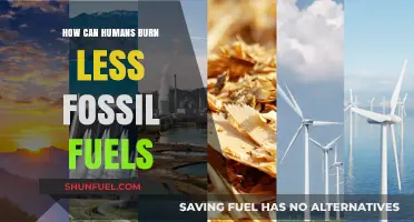 Burning Less Fossil Fuels: A Sustainable Future