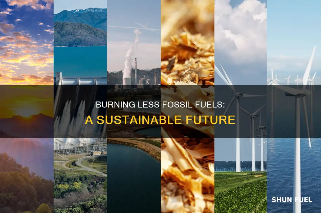 how can humans burn less fossil fuels