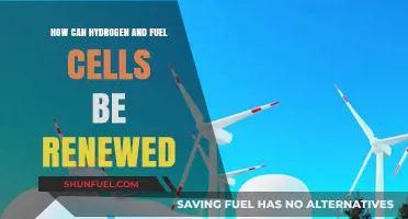 Renewable Hydrogen and Fuel Cells: Sustainable Energy Solutions for the Future