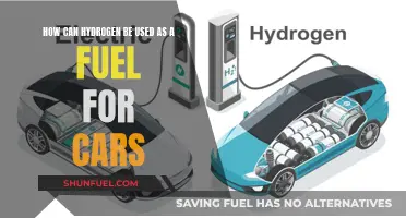 Hydrogen Fuel Cells: Powering the Future of Sustainable Transportation