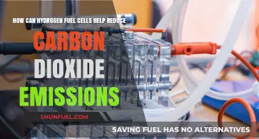 Hydrogen Fuel Cells: A Clean Energy Solution to Cut CO2 Emissions