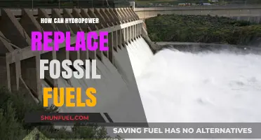 Hydropower's Rise: Unlocking a Sustainable Future Without Fossil Fuels