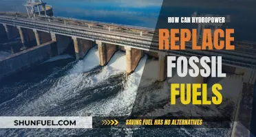 Hydropower's Potential: Replacing Fossil Fuels