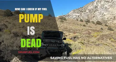 Is Your Fuel Pump Dead? Quick and Easy Diagnostic Tips