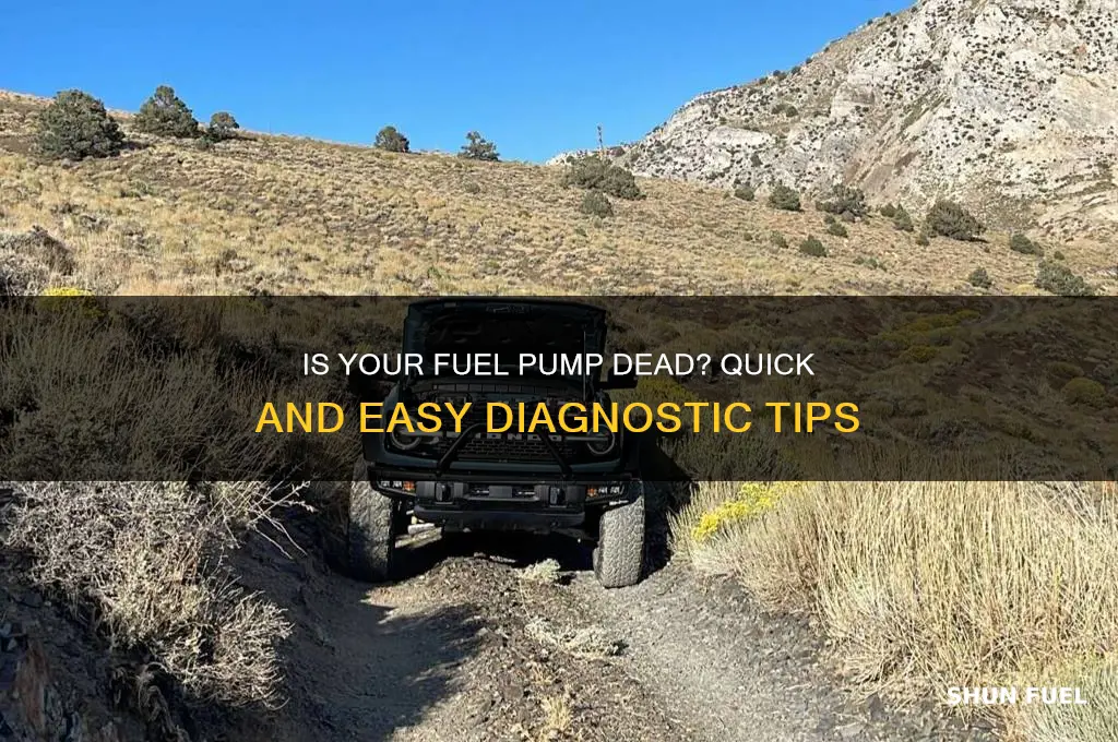 how can i check if my fuel pump is dead
