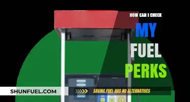 Maximize Savings: Easy Steps to Check Your Fuel Perks Balance