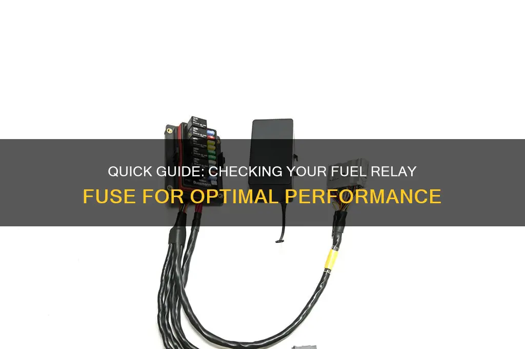 how can i check my fuel relay fuse