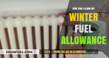 Claiming Your Winter Fuel Allowance: A Step-by-Step Guide for Eligibility