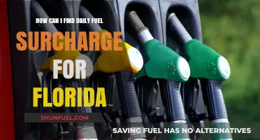 Daily Fuel Surcharge in Florida: A Simple Guide to Finding Rates