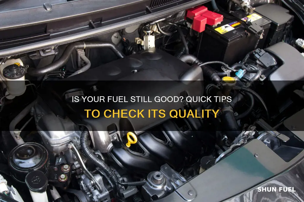 how can i find out if fuel is still good