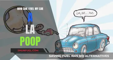 Green Energy: Powering Your Ride with Poop-Powered Fuel