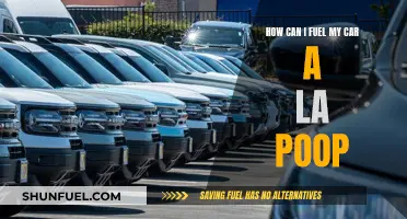 Poop Power: Fueling Cars with Waste