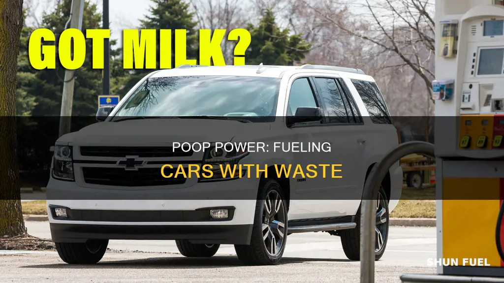 how can i fuel my car a la poop