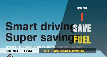 Maximize Mileage: Smart Tips to Save Fuel and Cut Costs