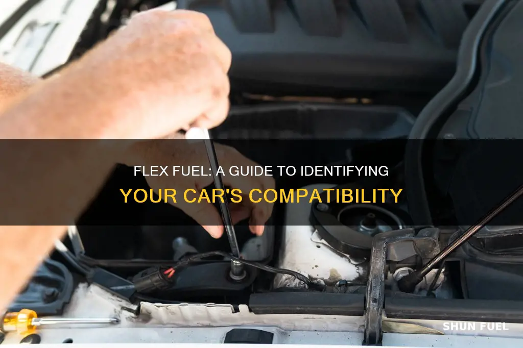 how can i see if my car is flex fuel