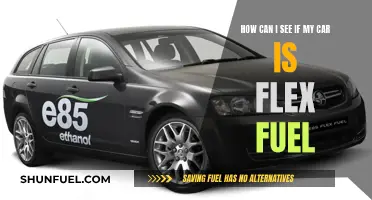 Is Your Car Flex Fuel? Check These Simple Ways