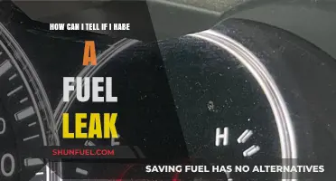 Signs of a Fuel Leak: How to Detect and Address It
