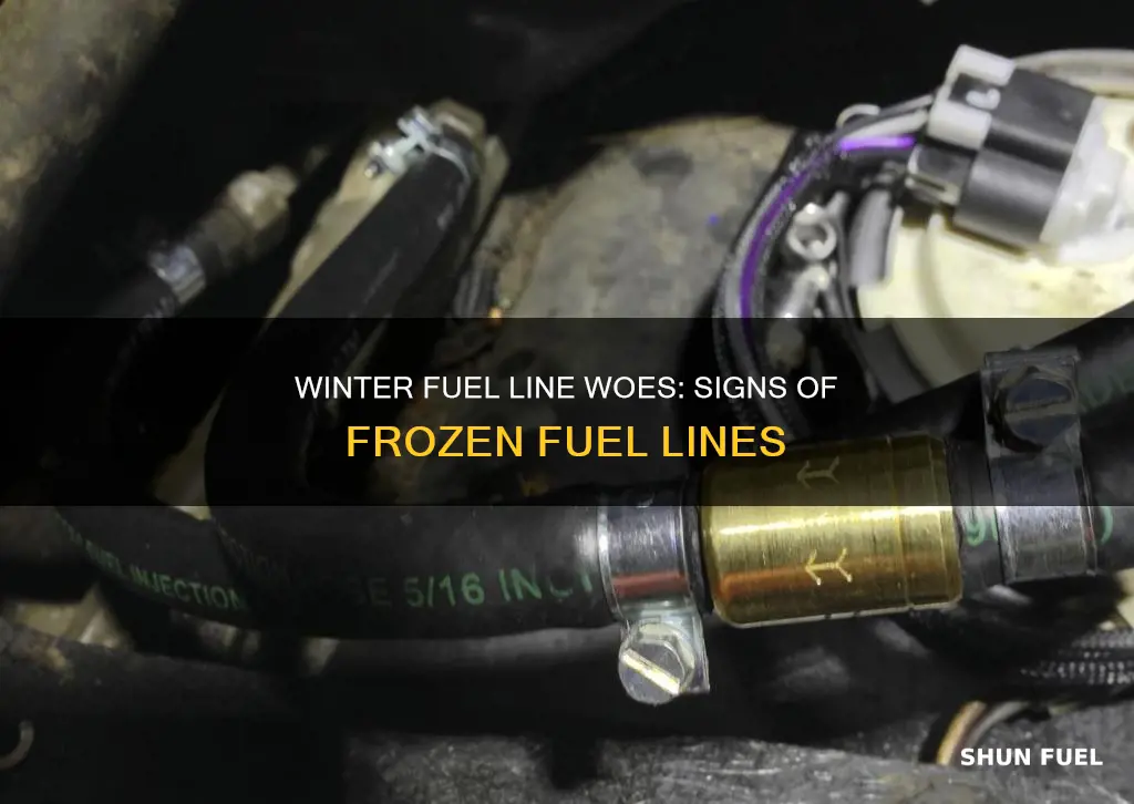 how can i tell if my fuel line is frozen