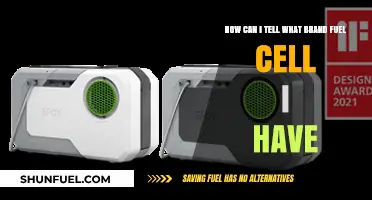 Identifying Your Fuel Cell Brand: A Comprehensive Guide for Owners