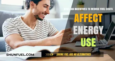 Incentives to Cut Fuel Costs: Impact on Energy Consumption Trends