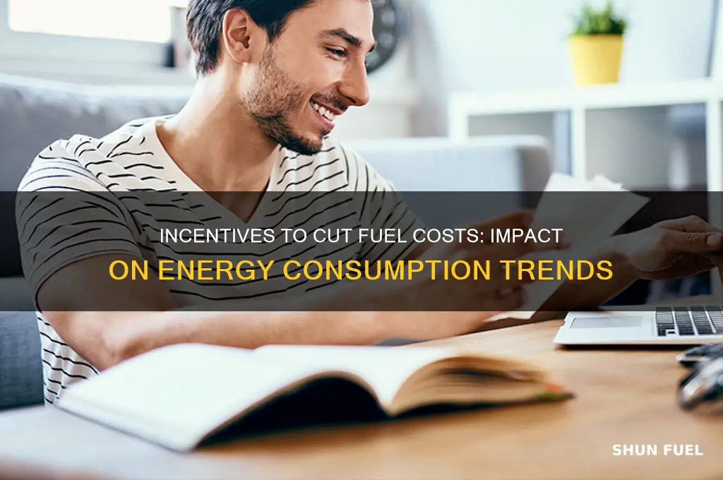 how can incentives to reduce fuel costs affect energy use