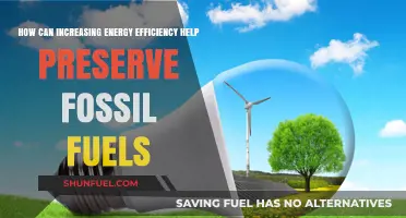 Energy Efficiency: Conserving Fossil Fuels, Saving Our Future