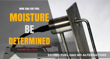 Measuring Live Fuel Moisture: Techniques and Tools for Accurate Determination