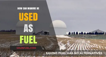 Transforming Manure into Sustainable Fuel: Innovative Energy Solutions for Farms