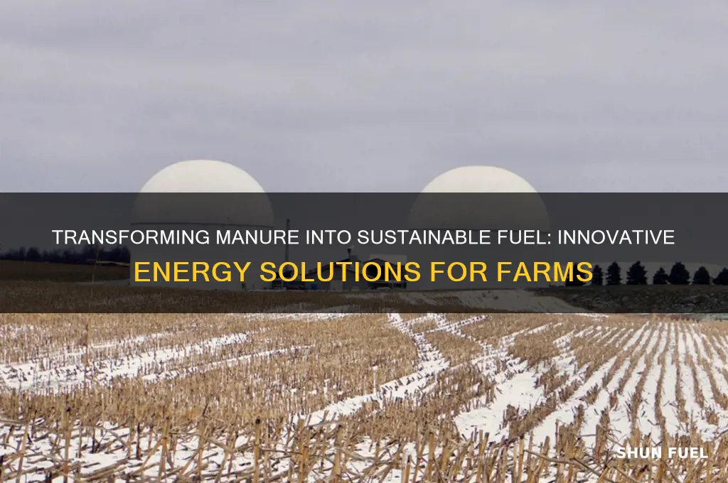 how can manure be used as fuel
