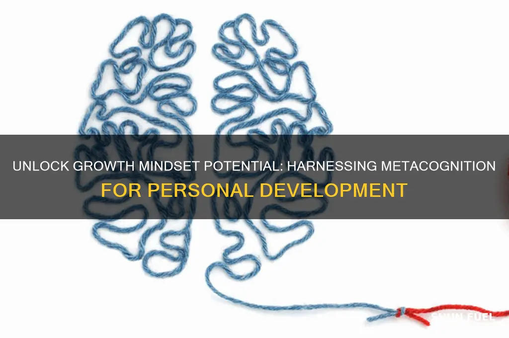 how can metacognition fuel your growth mindset