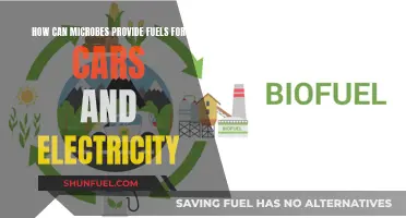 Microbes: Nature's Green Energy Revolution: Powering Cars and Electricity