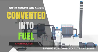 Transforming Trash to Energy: Municipal Solid Waste as Fuel Source
