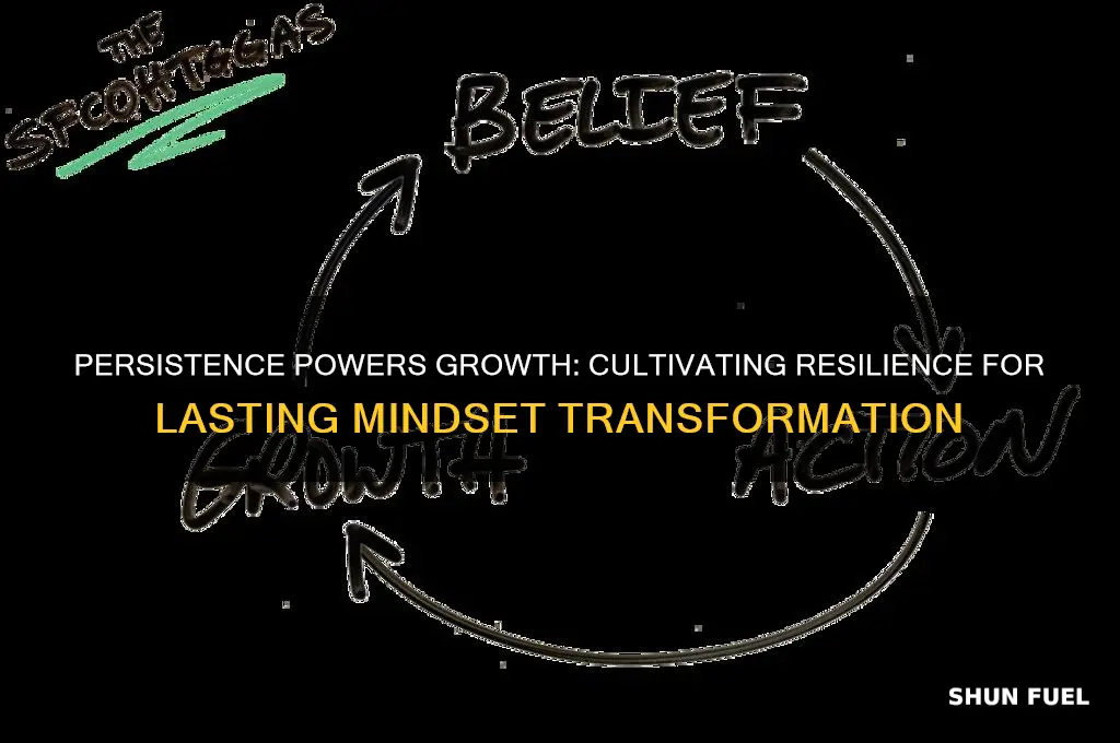 how can persistence fuel your growth mindset